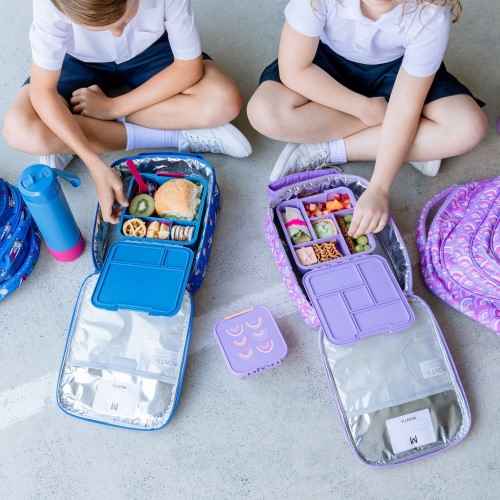 Montiico Bento Lunch Boxes and Food Jars