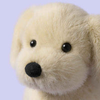 
              Jellycat Golden Puppy
            