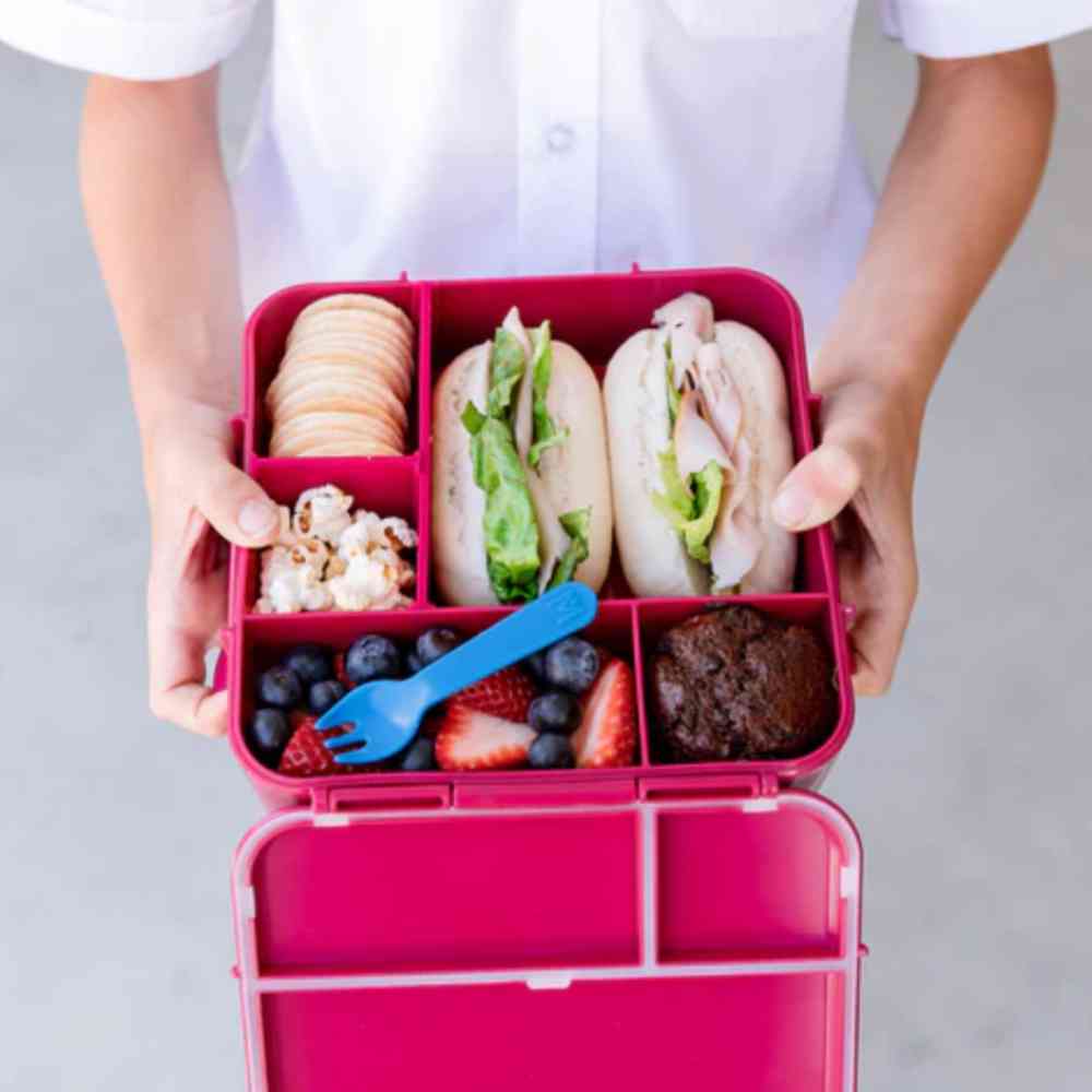 Montiico Bento Plus Rockabeez Gifts and Toys