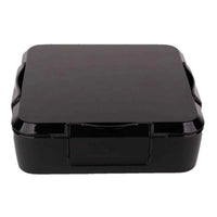 Montiico Bento Plus Rockabeez Gifts and Toys
