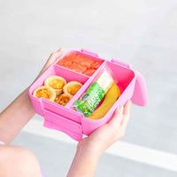 
              Montiico Bite Lunch Box - Rockabeez Gifts and Toys
            