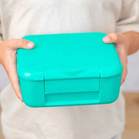 
              Montiico Bite Lunch Box - Rockabeez Gifts and Toys
            