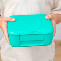 
              Montiico Bite Lunch Box - Rockabeez Gifts and Toys
            