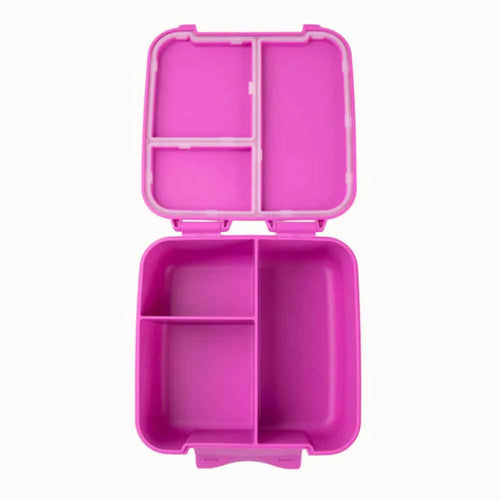 Montiico Bite Lunch Box - Rockabeez Gifts and Toys