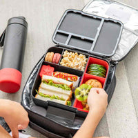 Montiico Feast Bento Lunch Box - Rockabeez Gifts and Toys