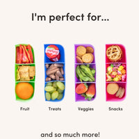 
              Montiico Feast Bento Tray
            