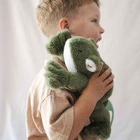 
              Nana Huchy- Finlay the Frog Rockabeez Gifts and Toys
            