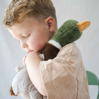 
              Nana Huchy- Hugo the Mallard Duck
            
