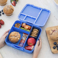 
              Montiico Feast Bento Lunch Box Rockabeez Gifts and Toys
            