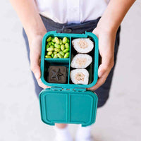 
              Montiico Bento Two Snack Box Rockabeez Gifts and Toys
            