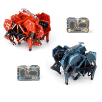 
              HEXBUG Battle Ground Tarantula Rockabeez Gifts and Toys
            