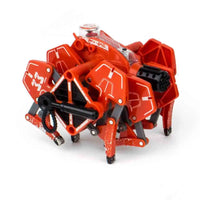 
              HEXBUG Battle Ground Tarantula Rockabeez Gifts and Toys
            