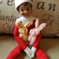 
              Miniature Bunny Toy Rockabeez Gifts and Toys
            